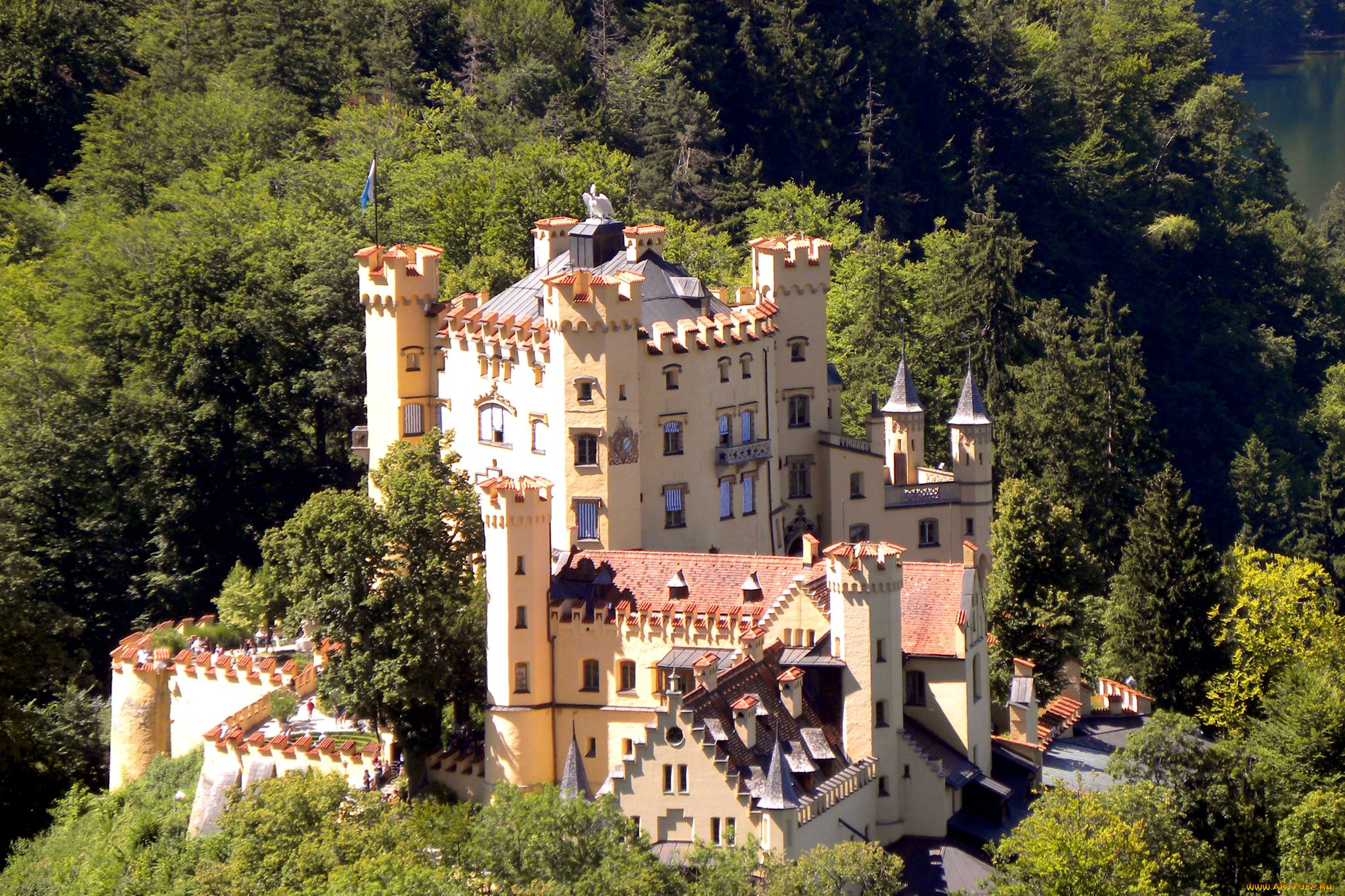 castle hohenschwangau, ,  , castle, hohenschwangau